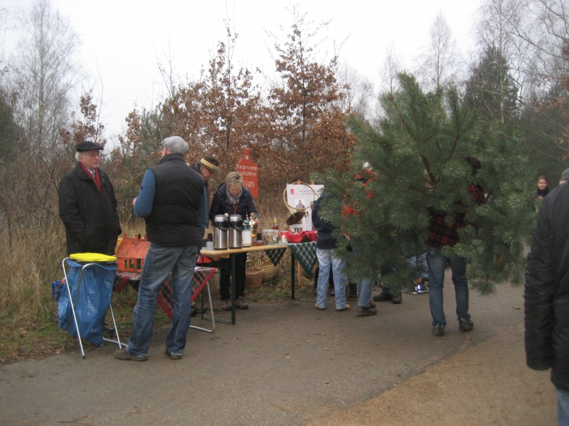 Weihnachtsbaum groß mit Stand