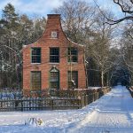 Neujahrsgrüße vom Stern