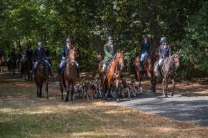 Rückkehr der Reiter mit der Mecklenburger Meute Foto: P. Raddatz