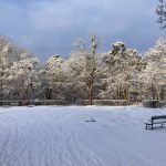 Winterwunderland am Stern