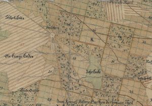 Auschnitt aus Forstkarte Netcke quer